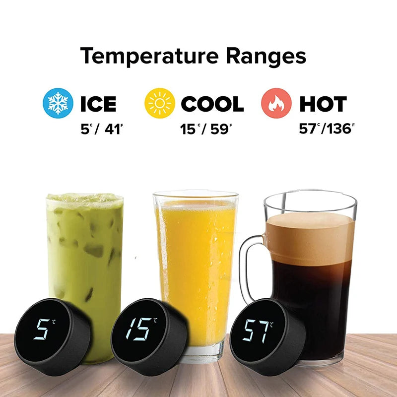 Hydration Wizard: Your Trusty Sidekick for Hot, Cold, and Totally Spill-Proof Adventures - Now with Gossiping LCD Magic!